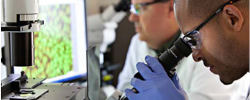 PharmTech - Vet Training